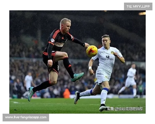 利兹联vs富勒姆:历史交锋主队占优,但富勒姆近期不败